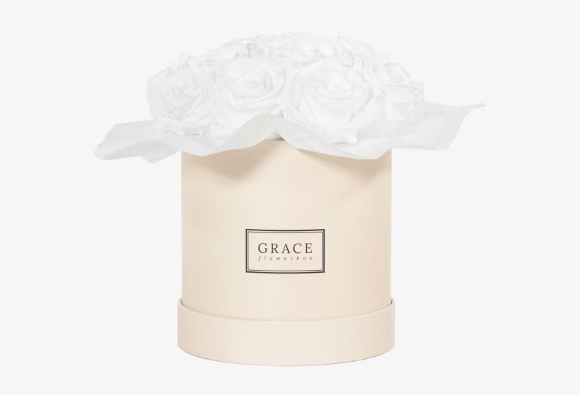 White Bouquet - Whipped Cream, transparent png download