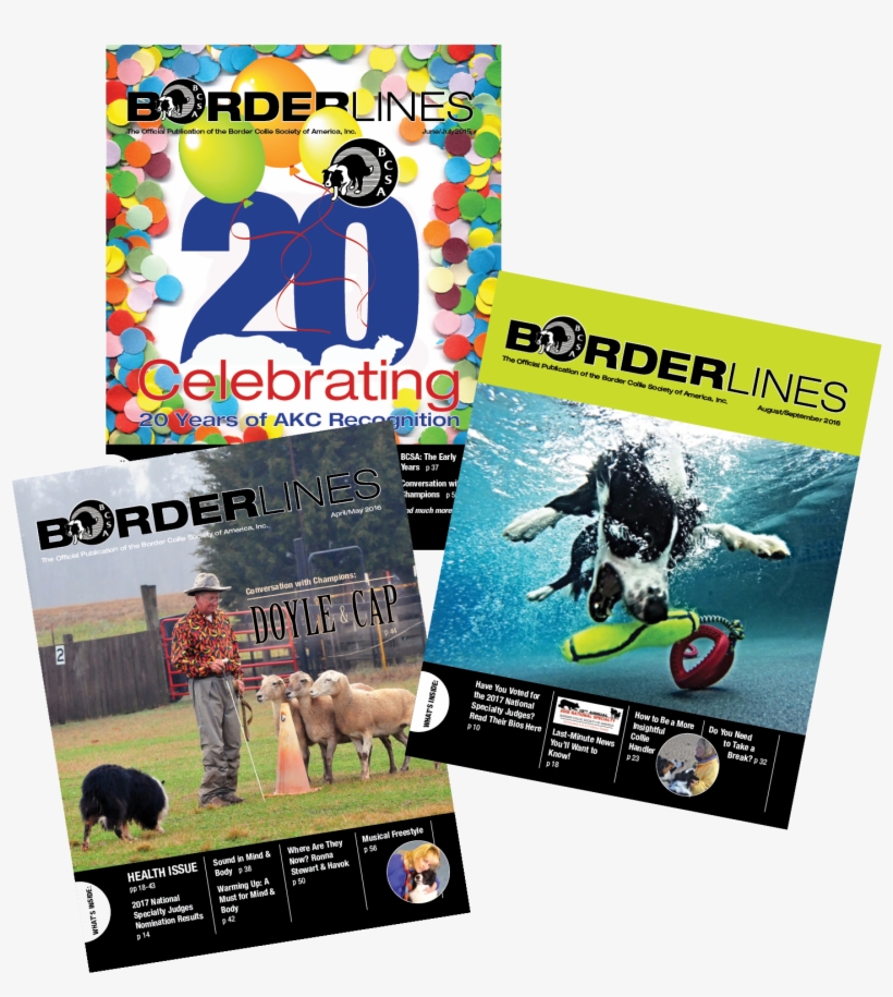 Magazine, transparent png download
