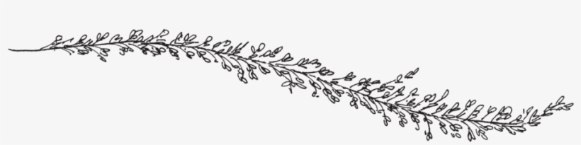 Flowers Logo Png, transparent png download