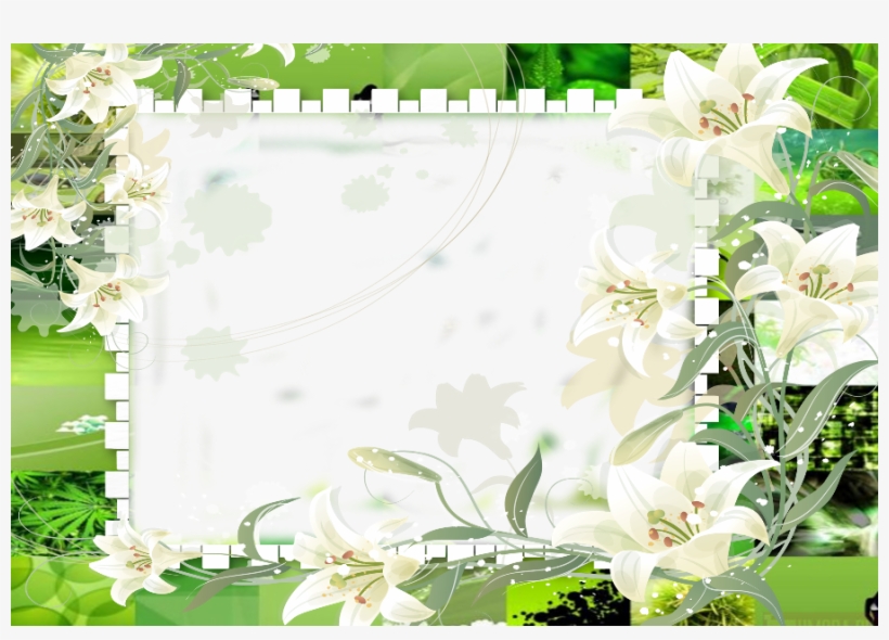 Peer Alauddin Siddiqui Young, transparent png download