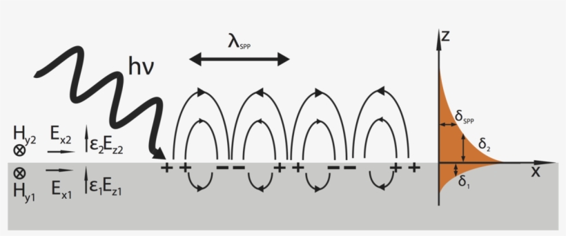 Surface Plasmon, transparent png download