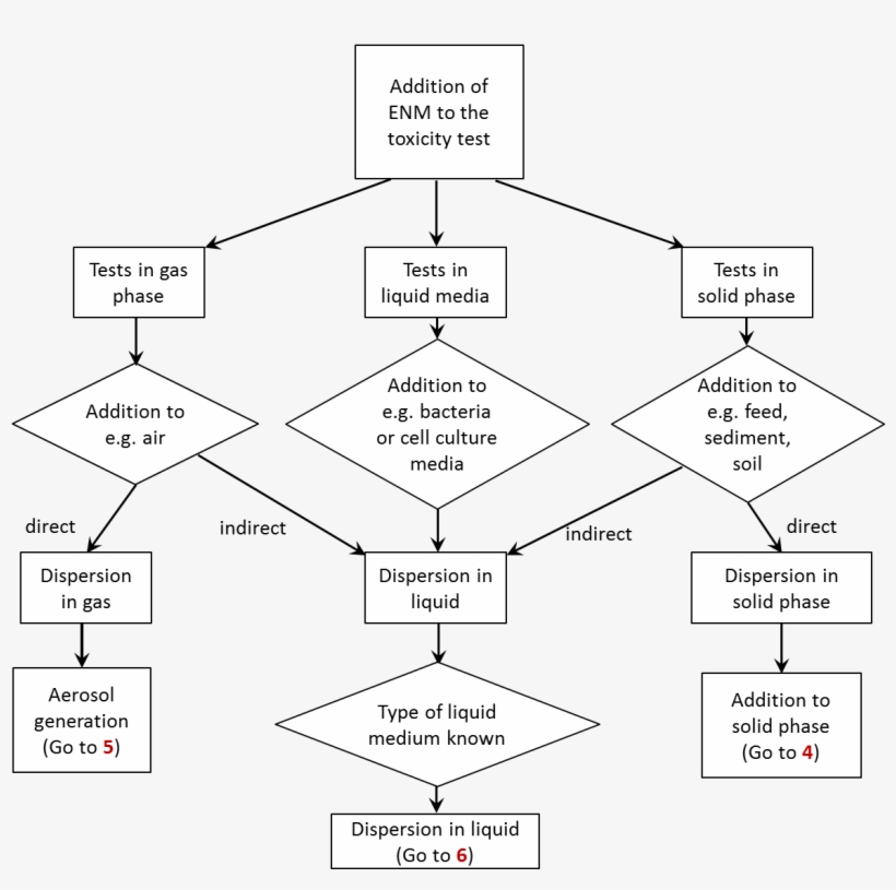 Biotox - Risk Assessment, transparent png download