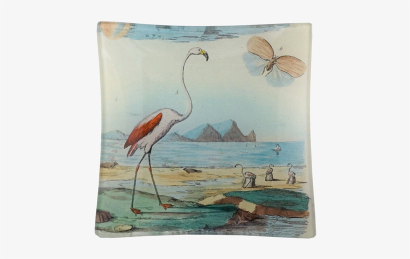 John Derian Company Inc Flamingo - Flamingos And Shells, transparent png download