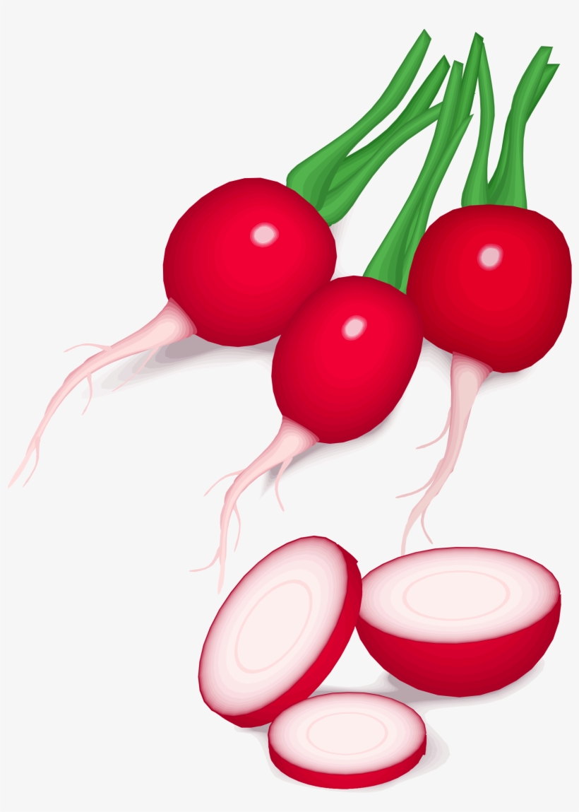 Vegetable Computer Icons Daikon Food Beetroot - Radishes Clip Art, transparent png download