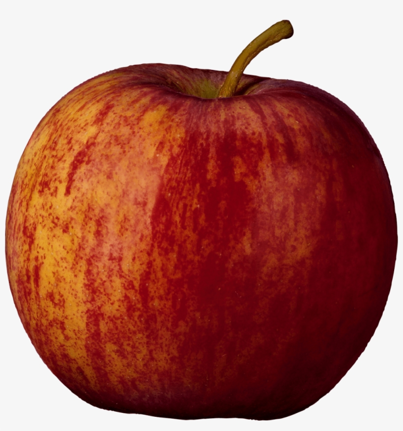 Apple Png Vector - Apple, transparent png download