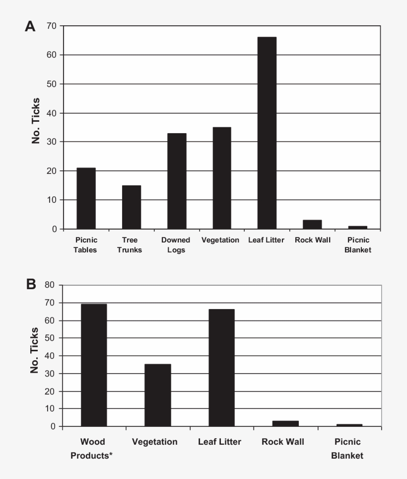 Ixodes Pacificus Nymphs Collected In Tilden Regional - California, transparent png download