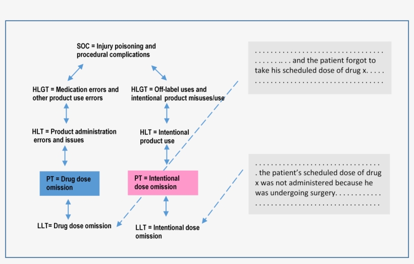 In Coding Into Meddra, Lower-level Terms Are - Meddra, transparent png download