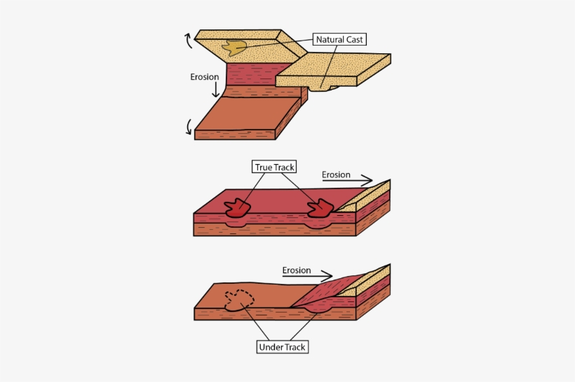 Diagram Of Types Of Tracks As Rock Layers Erode - Rock, transparent png download