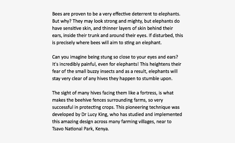 Bees Are Proven To Be A Very Effective Deterrent To - Flute Sheet Music For Dynamite, transparent png download