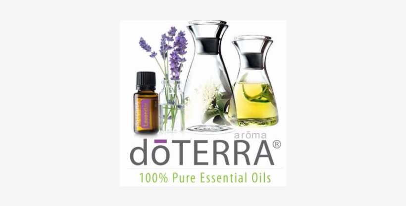Doterra - Eva Solo - Drip-free Carafe - 1l, transparent png download