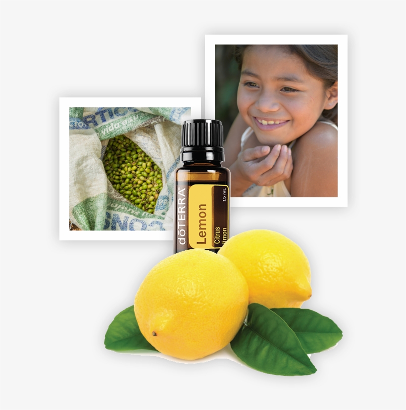 Dōterra Lemon Oil - Doterra Geranium Essential Oil - 15 Ml, transparent png download