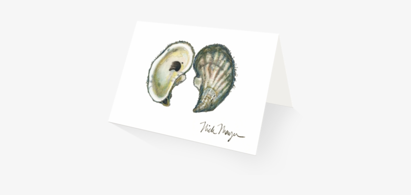 Atlantic Oyster - Eastern Oyster, transparent png download