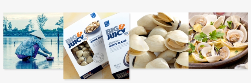 Clams - Big Prawn Co. Big & Juicy Delicious White Clams, transparent png download