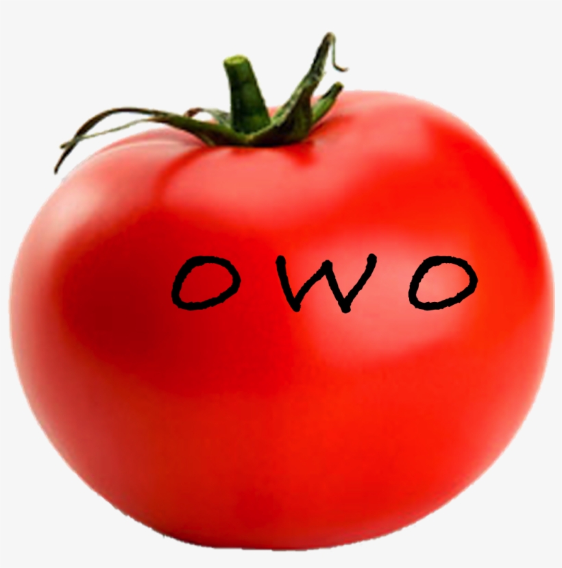 Owo Tomato - Single Fruits And Vegetables, transparent png download