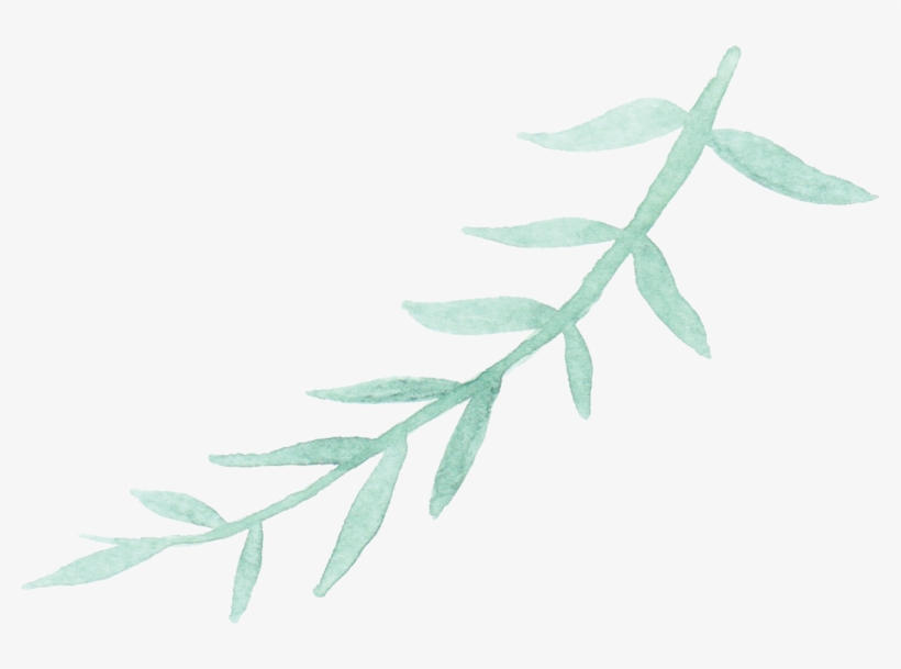 About Sara - Twig, transparent png download