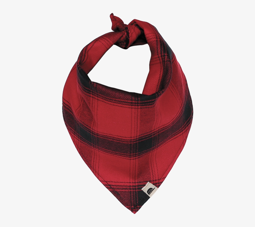 The Sk Pet Bandana - Hobo Bag, transparent png download