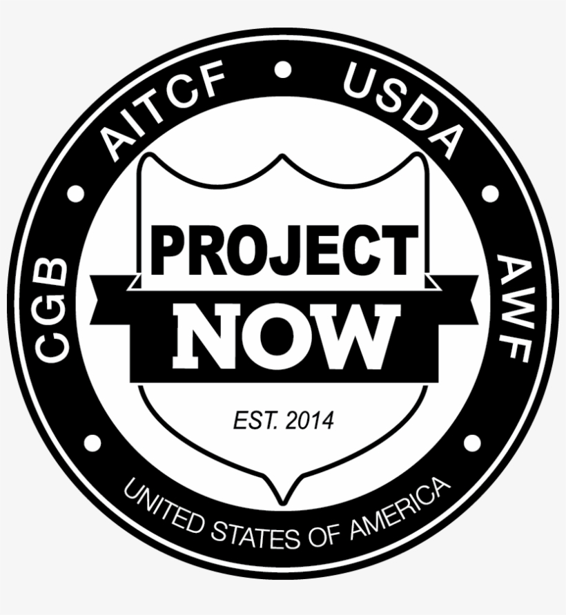 Inside City Summit & Gala 2018 Benefitting Our Project - Education, transparent png download