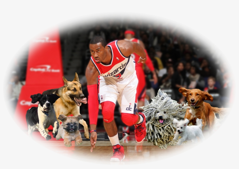 John Wall Is Mvp - John Wall Washington Wizards Basketball Sport 16x12, transparent png download