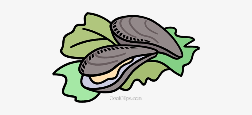 Oysters Royalty Free Vector Clip Art Illustration Vc009497 - Oysters