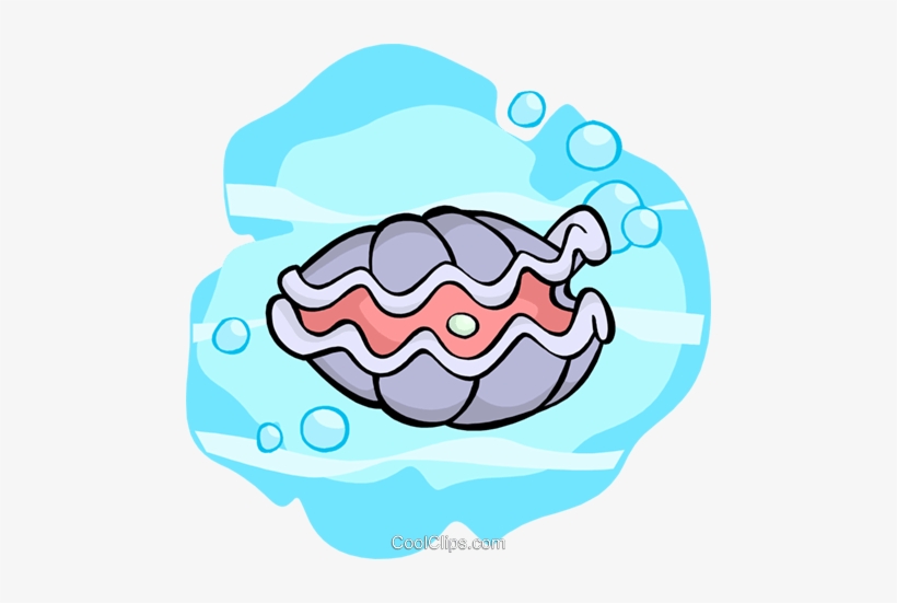 Oyster Royalty Free Vector Clip Art Illustration - Clipart Oyster Transparent Background, transparent png download