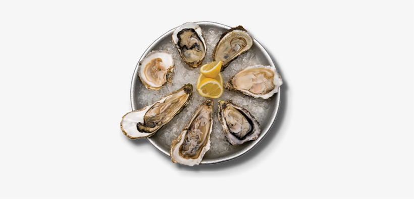 Gulf Shores Bars, Oyster Bar, Bar On The Beach, Bars - Oyster Bar, transparent png download