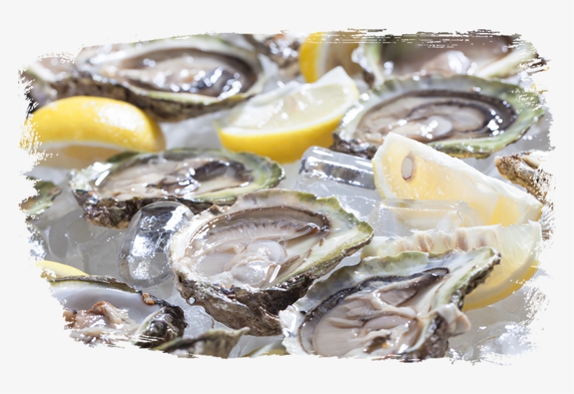 Dirty Al's Bayou Grill Oyster Monday - Oyster, transparent png download