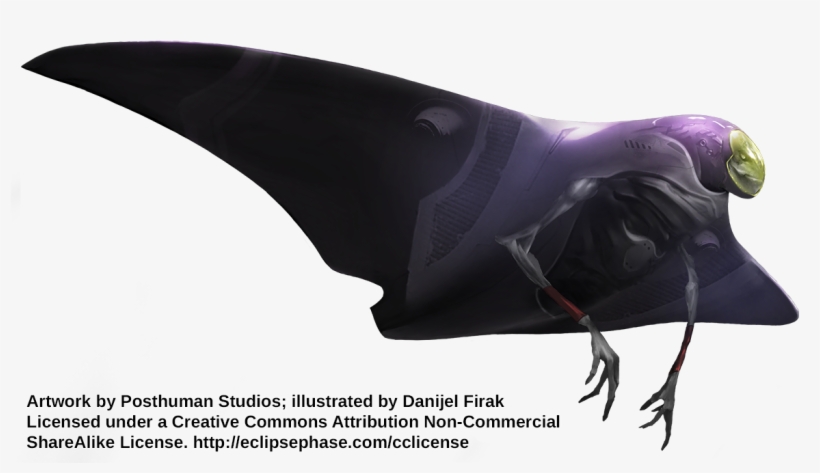 Cloudskate Danijelfirak - Eclipse Phase Surya, transparent png download