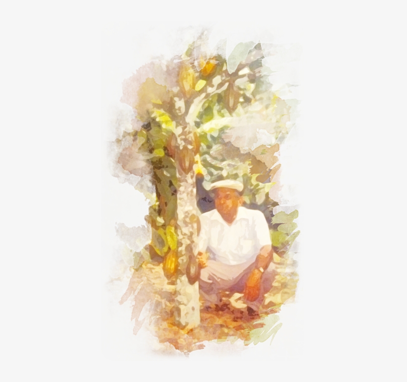 Increase Annually The Number Of Certificates Of Organic - Watercolor Paint, transparent png download