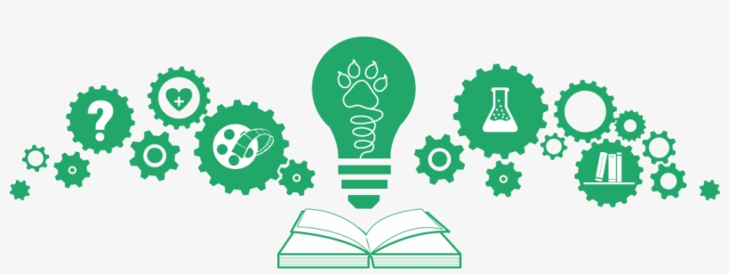 Knowledge Base - Knowladge, transparent png download