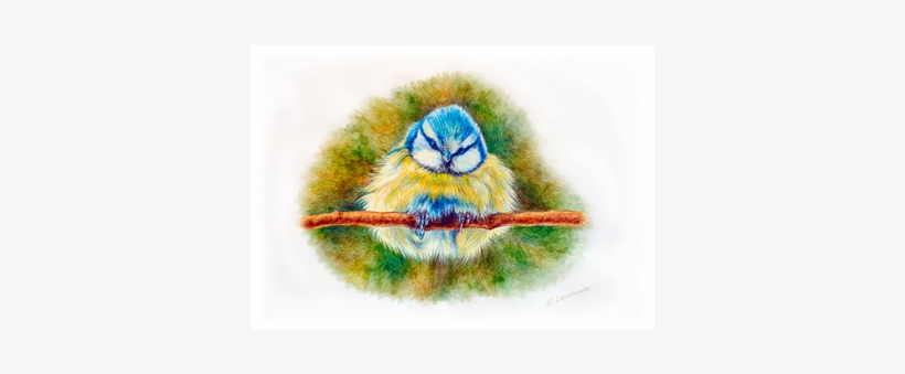 The Nestling - Macaw, transparent png download