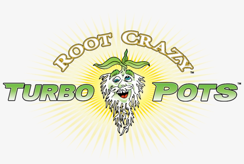 Turbo Pots Logo - Postural Orthostatic Tachycardia Syndrome, transparent png download