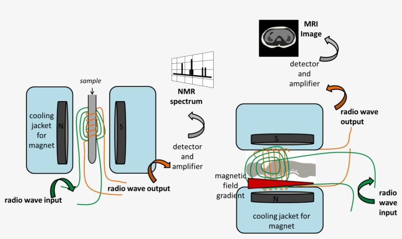 Nmrmri - Diagram, transparent png download