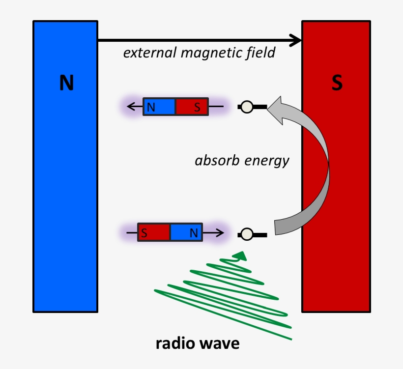 Nmr Radio Waves, transparent png download