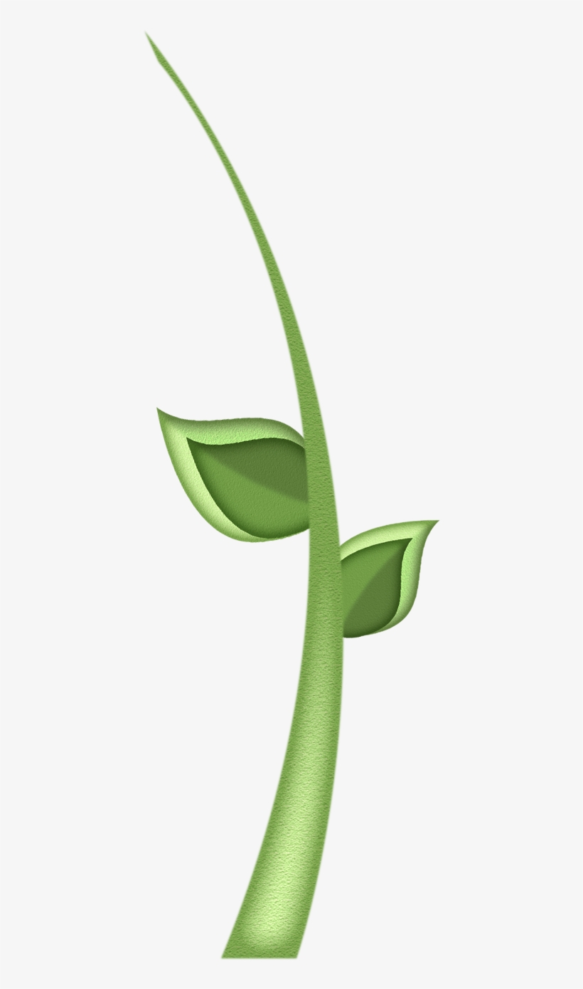 19 Sprout Clipart Huge Freebie Download For Powerpoint - Clip Art, transparent png download