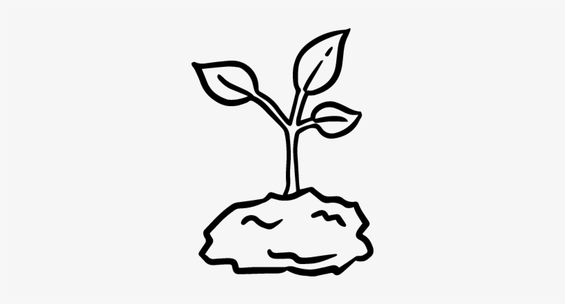 Sprout Coloring Pages - Planta Pequeña Para Colorear, transparent png download