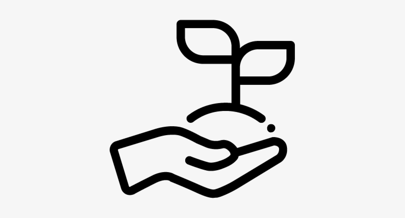 Sprout - Sprout Icon, transparent png download