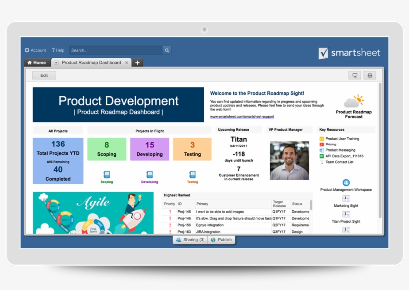 Product To Market Everything From Early Stage Market - New Product Dashboard, transparent png download