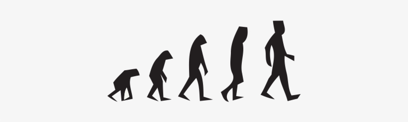 Evolution Of An Internet Marketer - Evolution In Biology, transparent png download