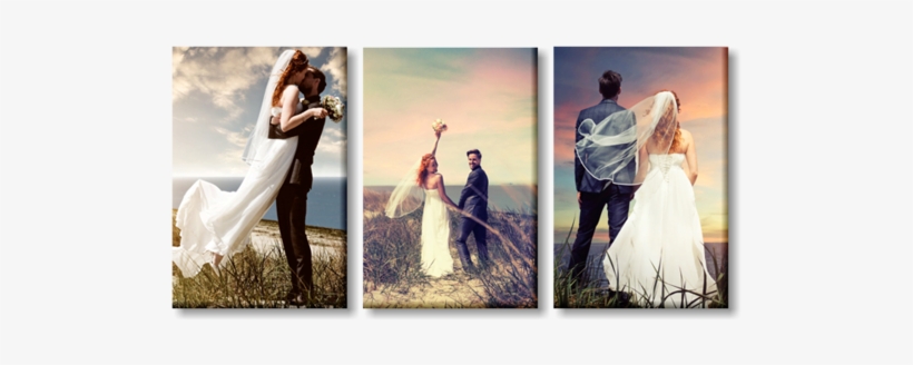 Canvas, transparent png download