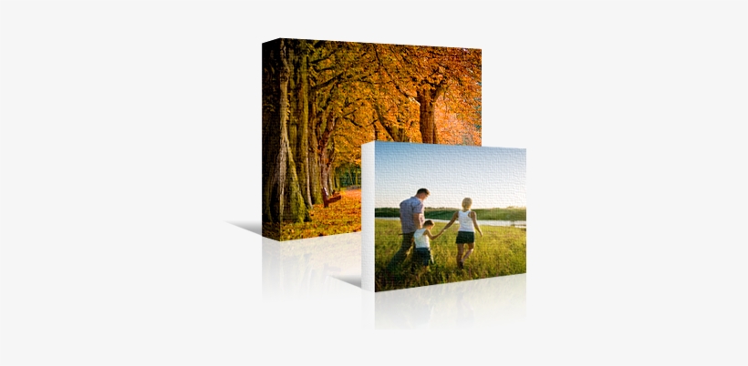 Guitar Solos / House At Pooh Corner - Guitar Solos, transparent png download