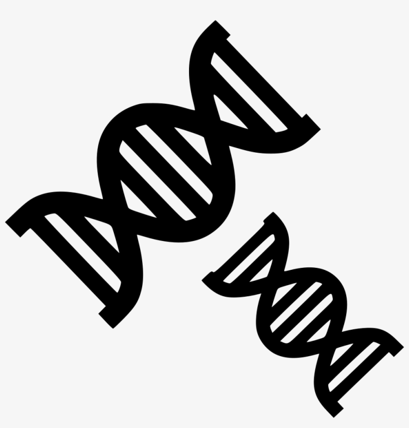 Dna Strands Chemistry Biology Evolution Genetics Comments - Dna, transparent png download