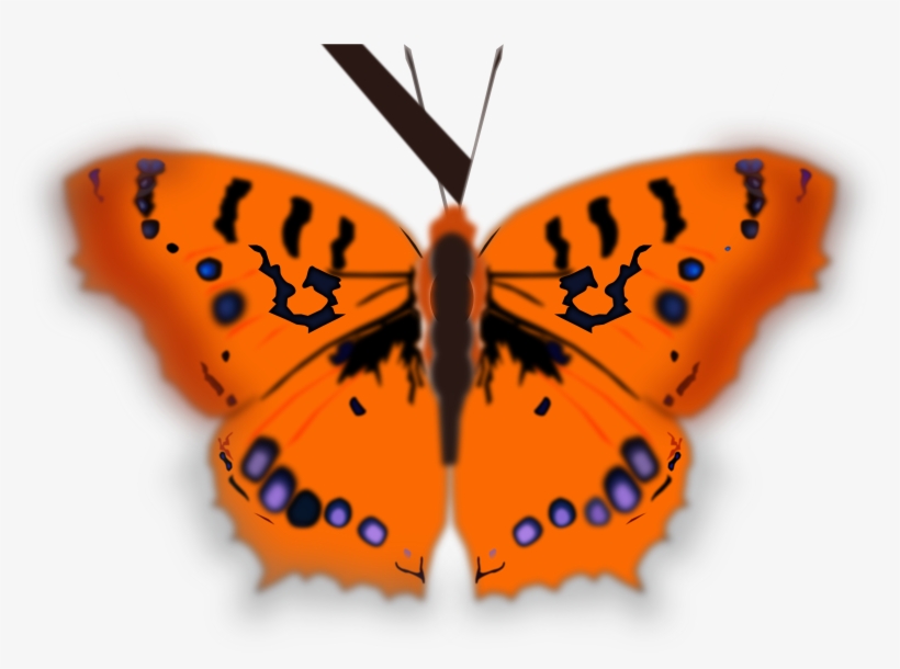 This Free Icons Png Design Of Mariposa Pirata, transparent png download