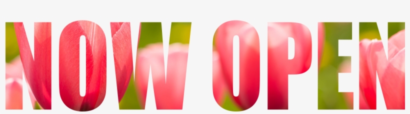 Mgrc - Now Open - Battlefield 4, transparent png download