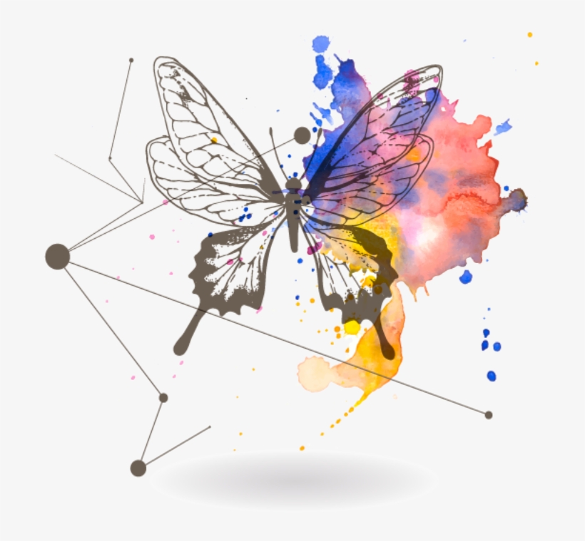 7 Características Del Efecto Mariposa - Tqc+ Flash動畫設計認證指南 Flash Cc, transparent png download
