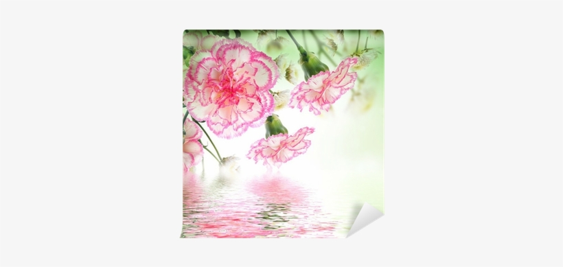 Fotomural Ramo De Rosas De Color Rosa Y La Mariposa, - Roze Rozen, transparent png download