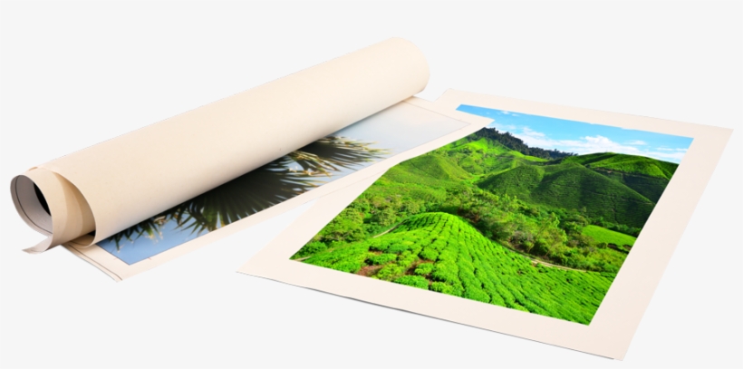 Just Roll With It - Print On Canvas, transparent png download