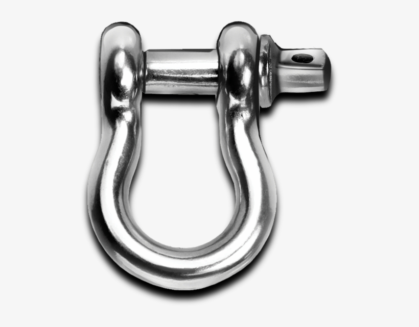 3/4" D-ring / Shackles - D-ring, transparent png download