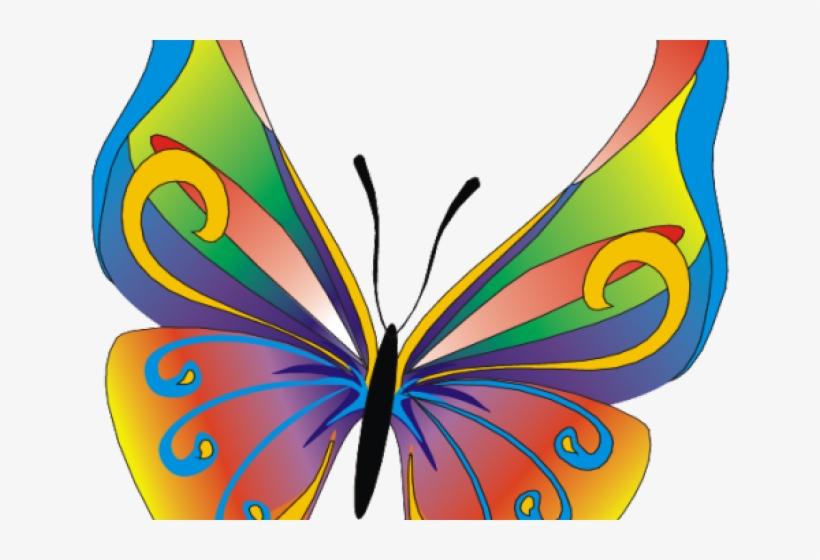 Butterfly Clipart, transparent png download