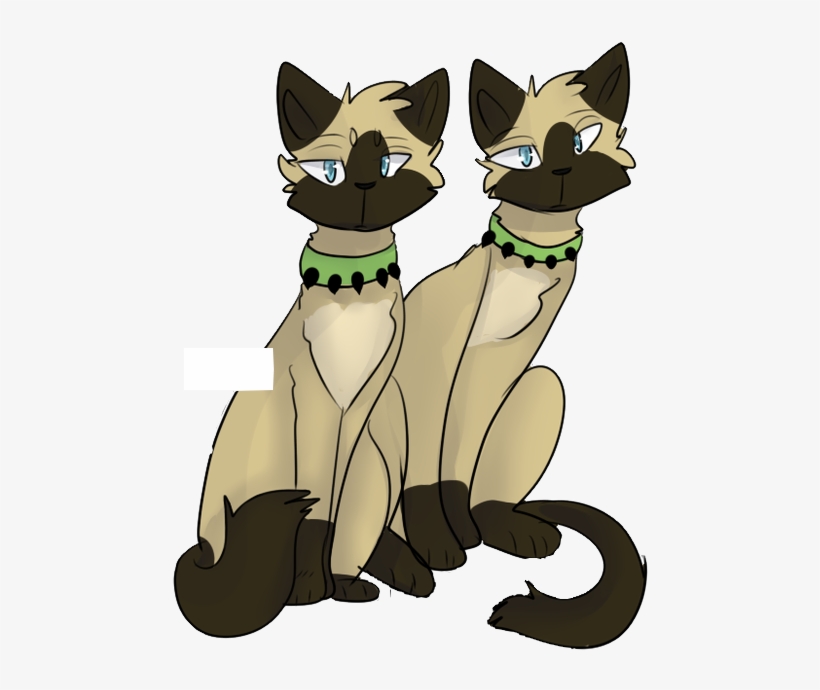 New Canvas - Wiki, transparent png download