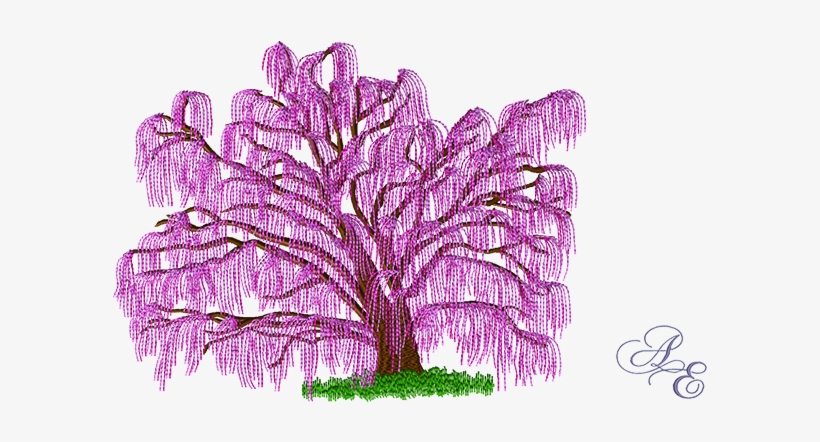 A Spring Version Of Our Willow Tree With Her Branches - Willow, transparent png download